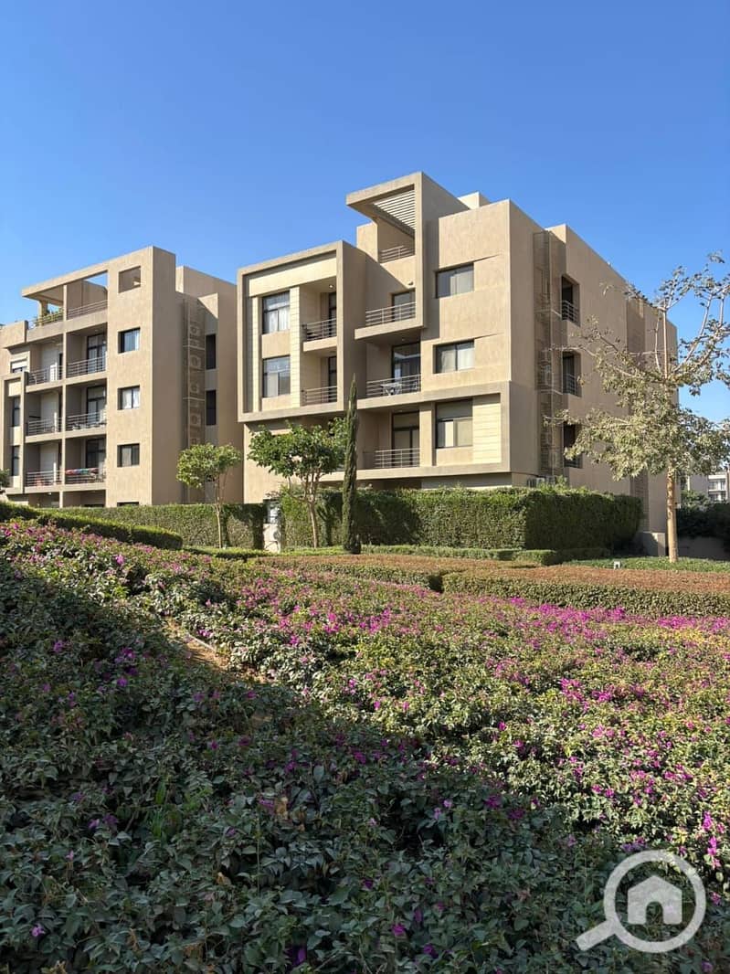 3 464008fc-fb5f-4783-ae8c-5a02f8f7249a. jpg