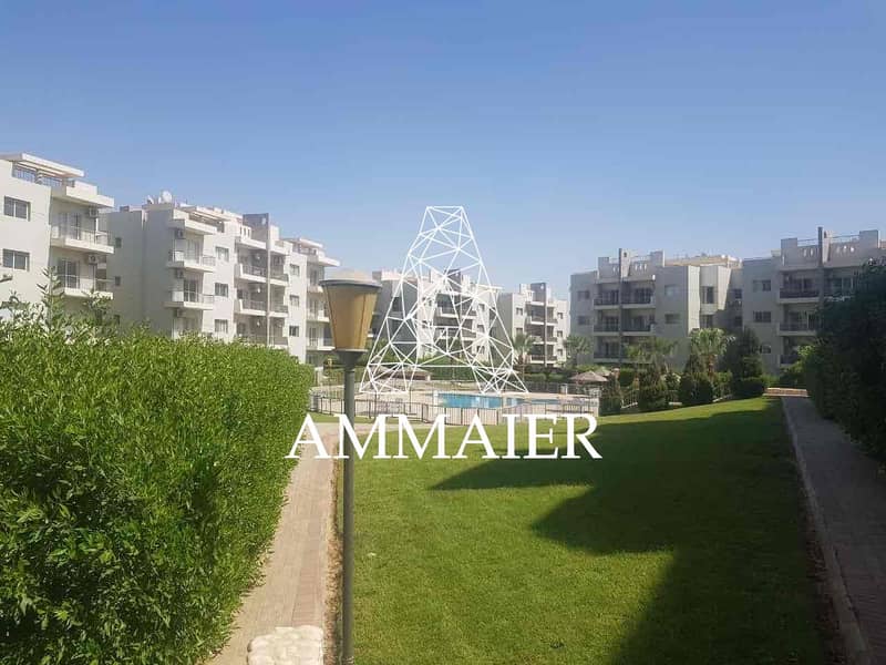 6 b4462811-c5c0-40a2-a073-827023d5dae5. jpg