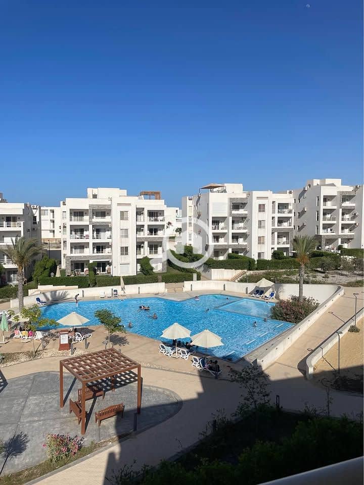 5 491035502_959937896310940_3341227776995245841_n. jpg