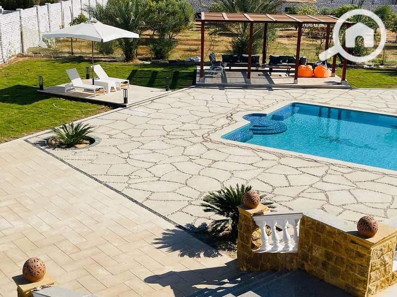 10 08899370-5bbd-4621-89b5-d22fcebc855f. jpg