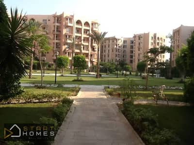 استوديو  للايجار في القاهرة الجديدة، القاهرة - WhatsApp Image 2026-01-18 at 11.45. 38 AM (4). jpeg