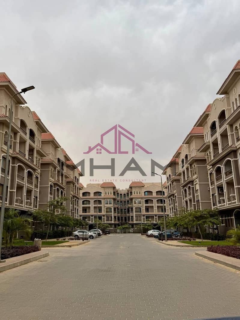 2 photo_6005941134561053520_y. jpg