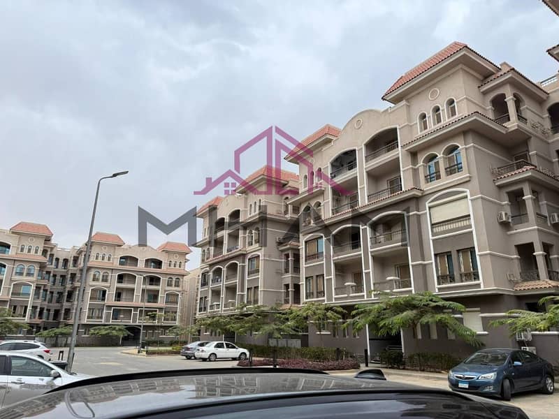 3 photo_6005941134561053521_y. jpg