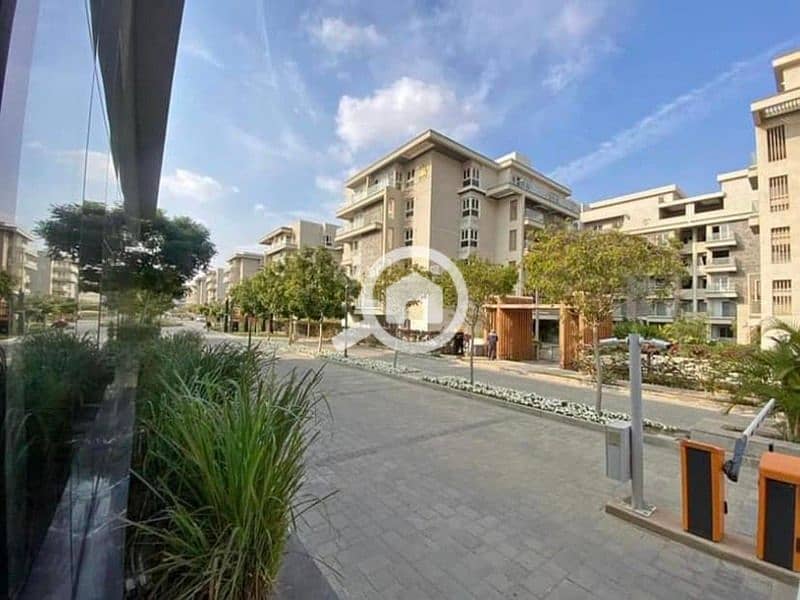 7 437558046_946391863799213_423113083548520175_n. jpg