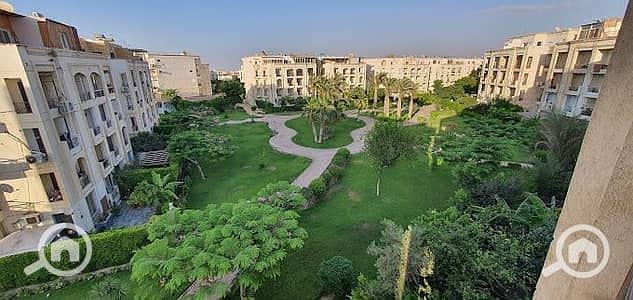 7 35359196-400x300. jpeg