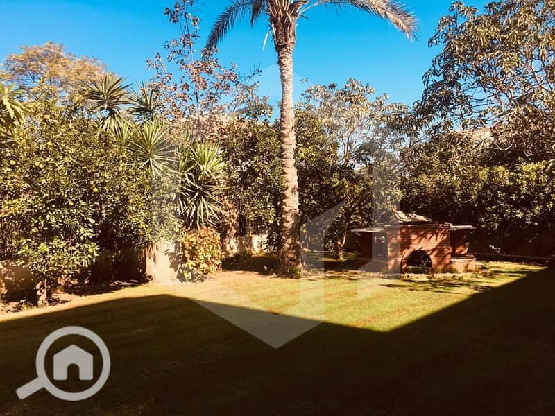 10 Zayed 2000 10. jpg