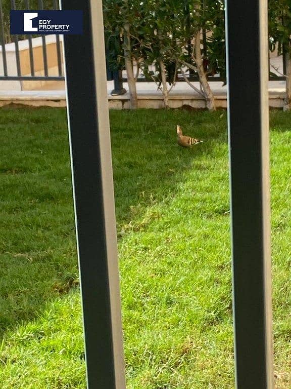 2 _files_8718b674-bde1-41e9-906a-db0d10952287. jpeg