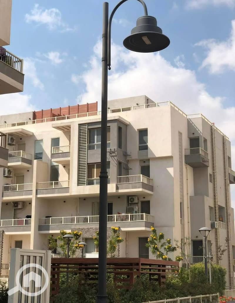 6 919a7f29-3455-4273-8c5d-b16032a4ec6b. jpg