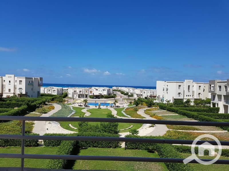 imgi_209_563920938. png imgi_209_563920938. png