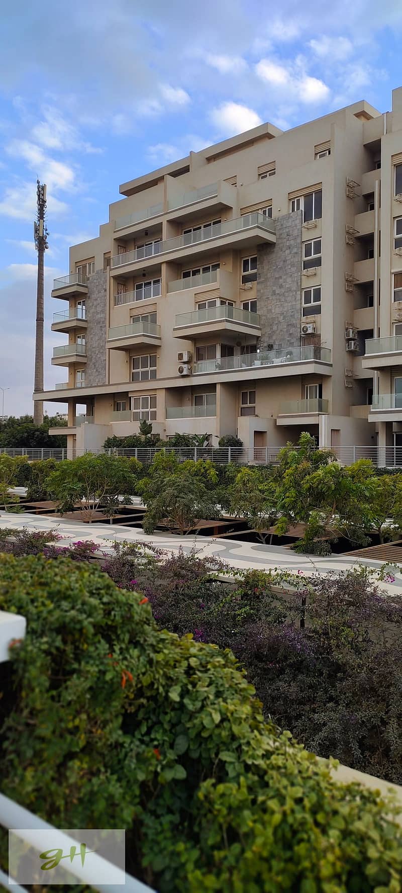 3 IMG_٢٠٢٥١٢٢٩_١٦١٨٢٨. jpg