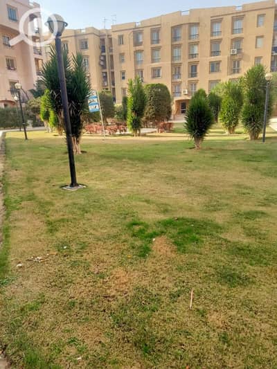 شقة 3 غرف نوم للايجار في القاهرة الجديدة، القاهرة - 2903c078-a336-493c-952c-2e816ed59b54. jpeg