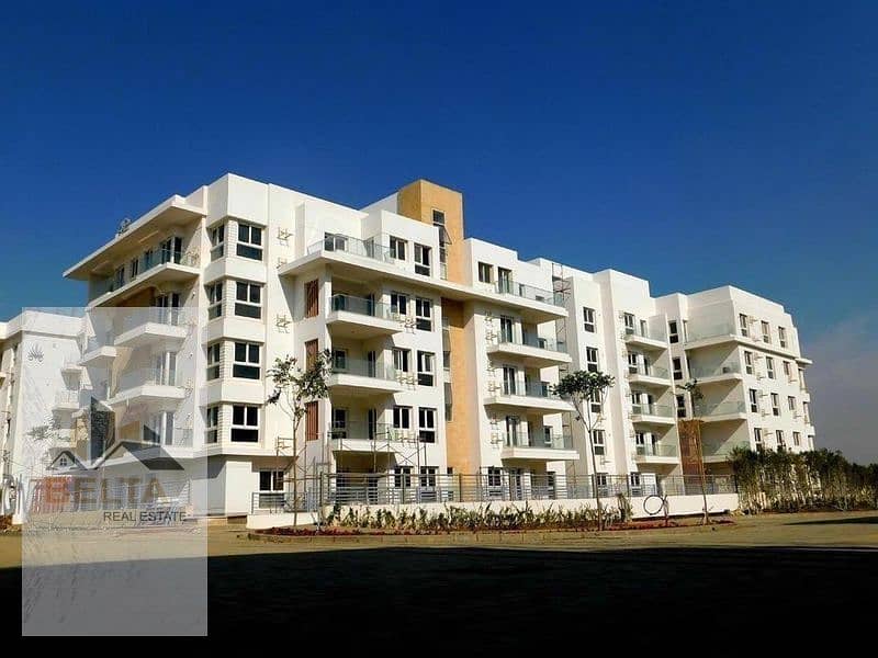 7 Untitledqwr3456_800x600. jpg