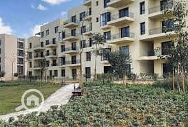 5 WhatsApp Image 2026-01-18 at 1.21. 48 PM (3). jpeg