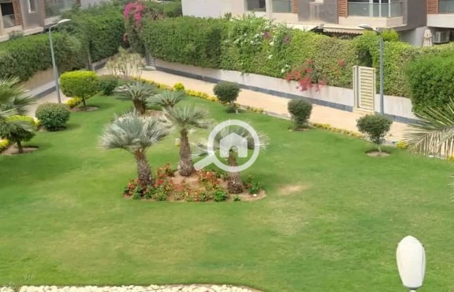 6 1312x894_1400x900. jpg