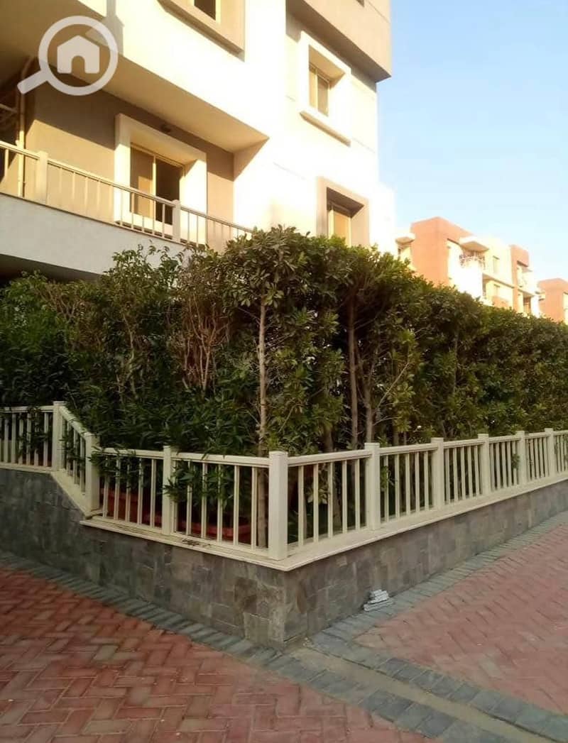 10 d0369f30-9330-4ab8-8021-e749b50a5c13. jpg