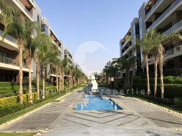 6 616282997_122115098901147436_3930304581207031743_n. jpg