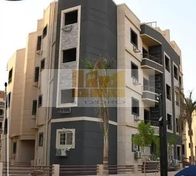 3 Bedroom Flat for Sale in New Cairo, Cairo - WhatsApp Image 2026-01-18 at 12.58. 17 PM. jpeg
