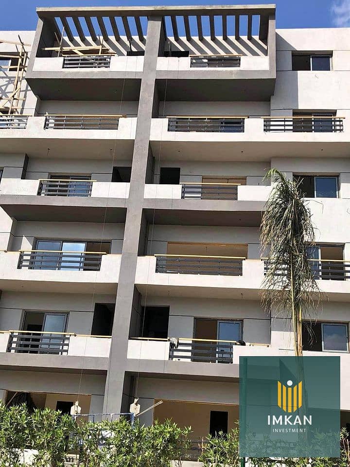 13 stoda heliopolis. jpg