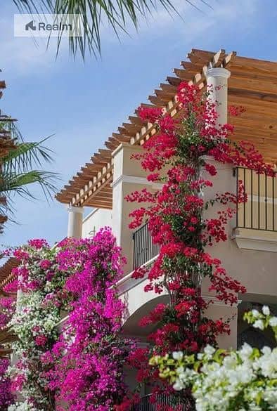 7 586292530_122277275642207753_8000565270061386587_n. jpg