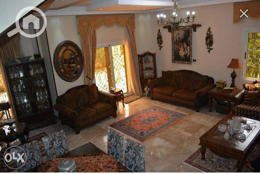 6 18180598-32bd-48f8-8d19-3ef1dbdd8f40. jpg