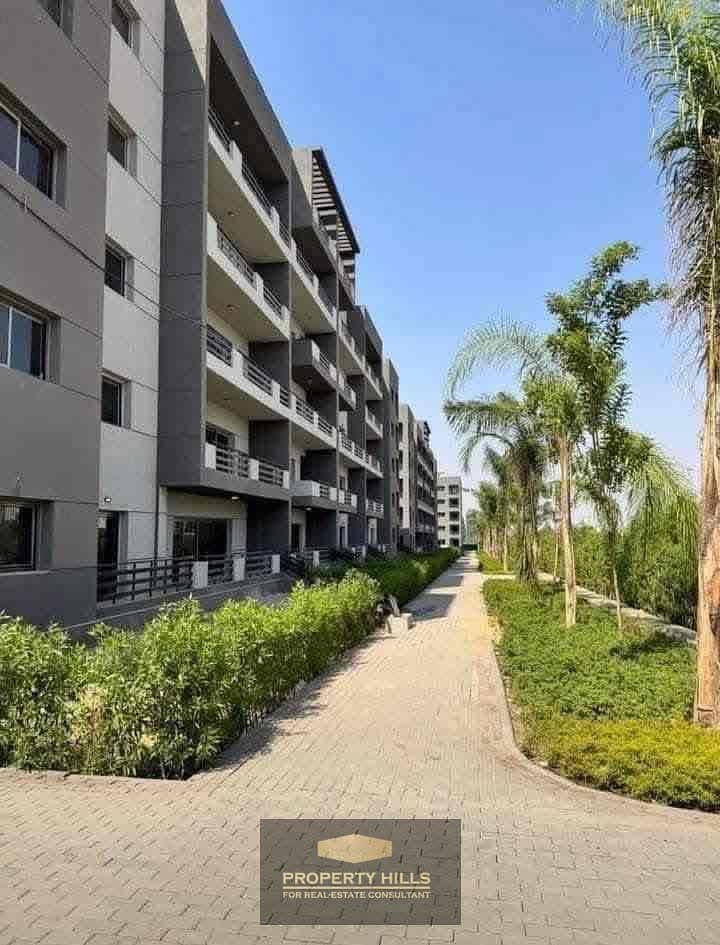 9 e81e505f-5fc4-406f-8e3d-49c613e18b1a. jpg