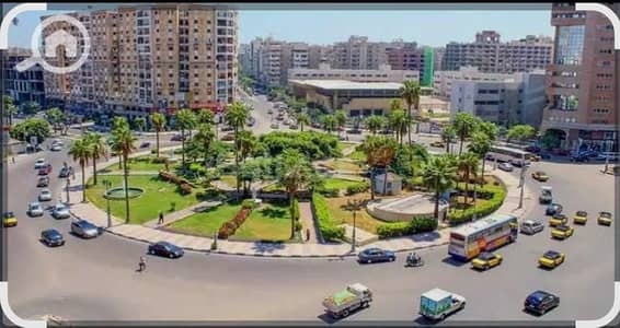 Retail for Rent in Smoha, Alexandria - WhatsApp Image 2026-01-18 at 2.31. 56 PM (3). jpeg