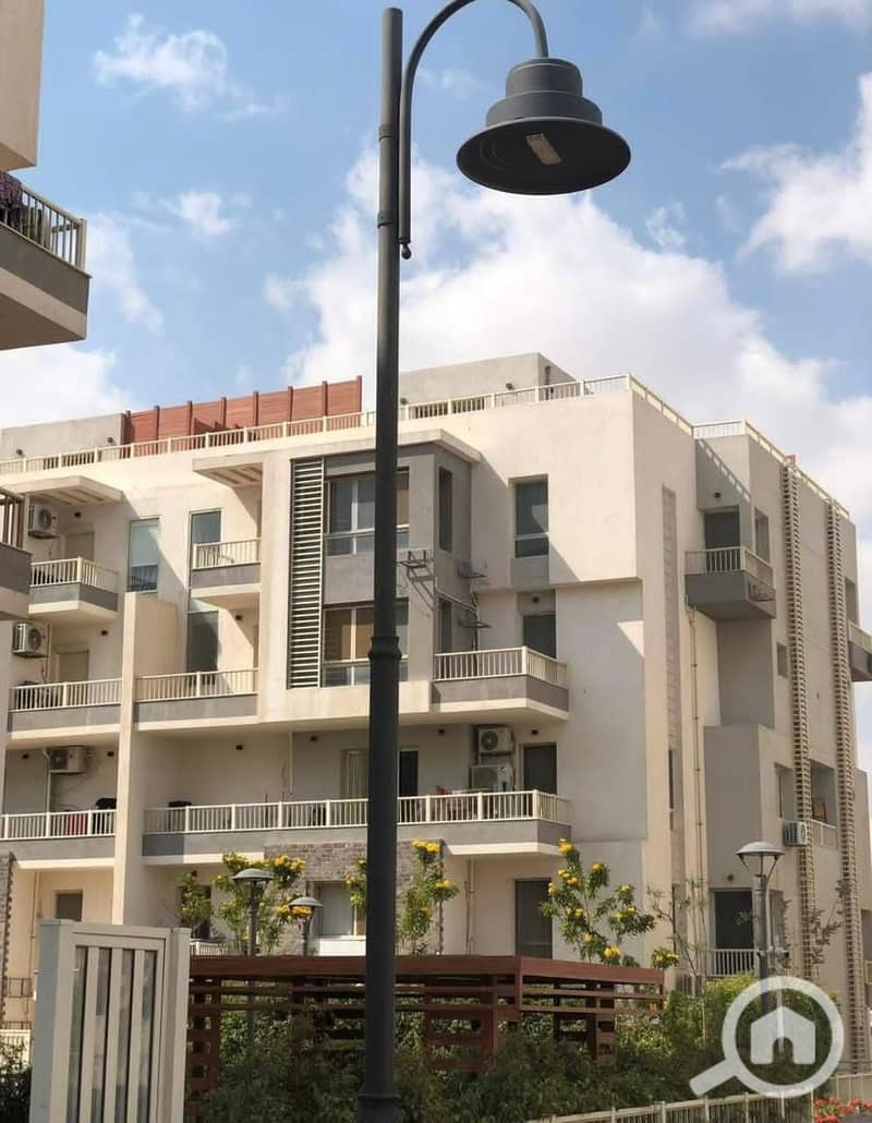 2 919a7f29-3455-4273-8c5d-b16032a4ec6b. jpg