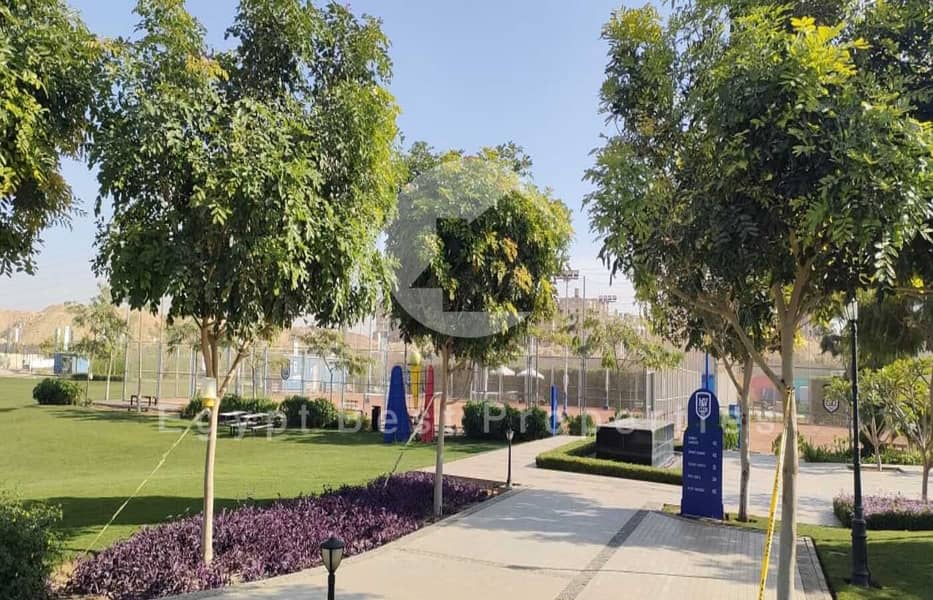 3 bf9bb31d-cad9-456e-af98-30a46a4f3a6a. jpeg