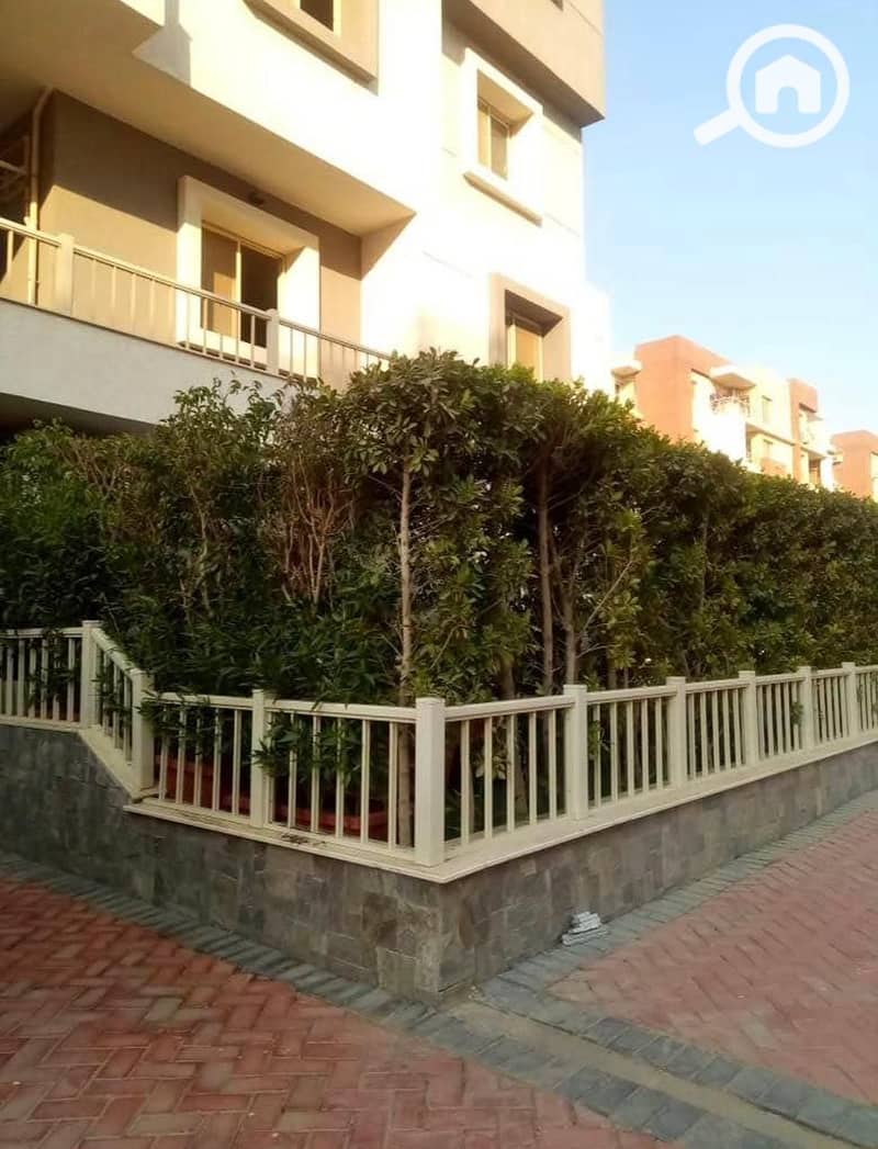 11 d0369f30-9330-4ab8-8021-e749b50a5c13. jpg