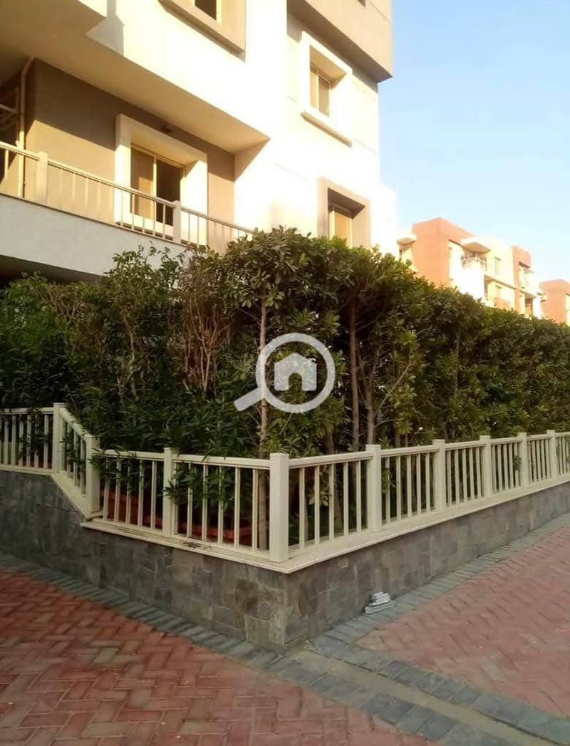 11 d0369f30-9330-4ab8-8021-e749b50a5c13. jpg