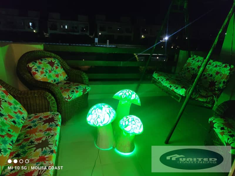 7 ba917010-3a14-4105-a3b6-4e0b5ef6e4b3. jpg