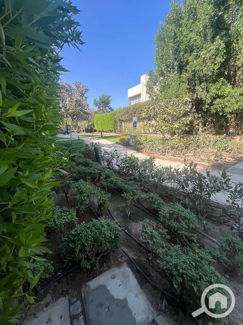 17 IMG-20251112-WA0208. jpg