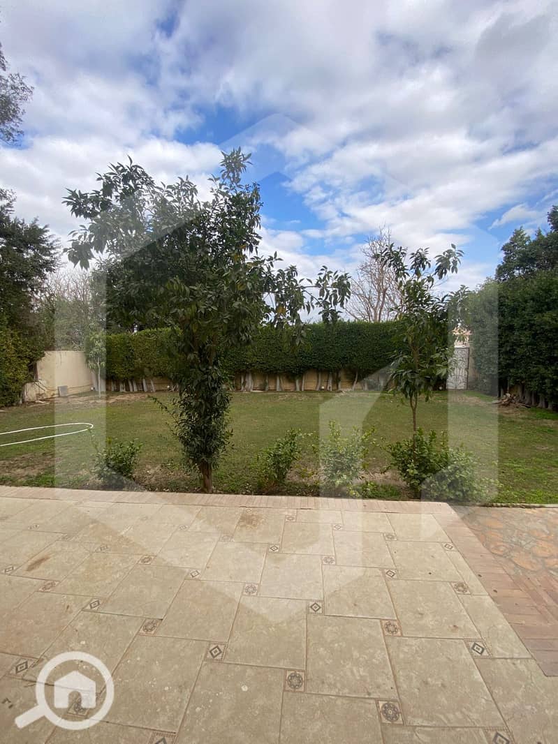 14 Zayed 2000 14. jpg