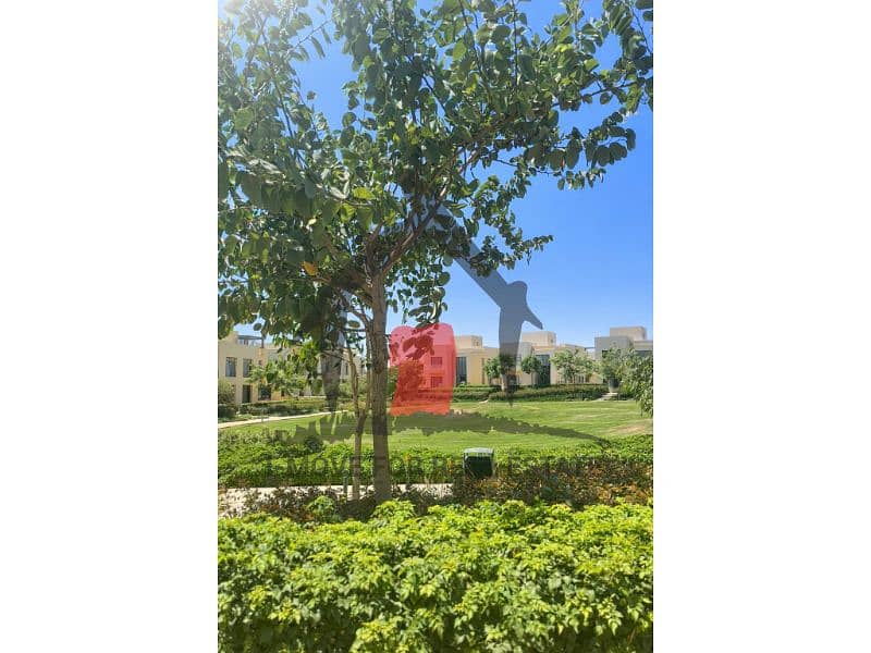 4 20b22712-edbb-4f73-b44a-fc7e90071153. jfif. jpg