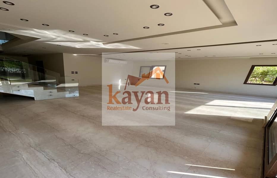 10 06688a52-365c-4c7d-8220-575c5f066dcc. jpg