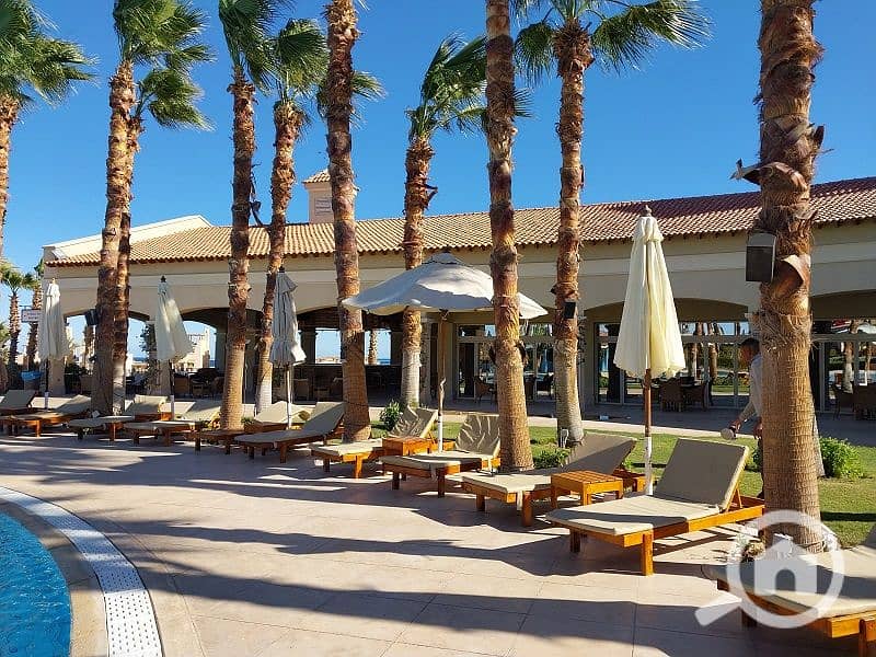 10 20240130_141759. jpg