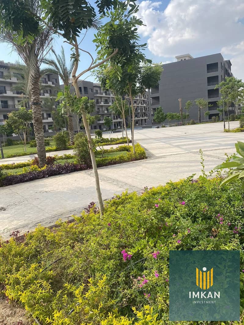 14 540532106_122135917760852513_7373829349059772897_n. jpg