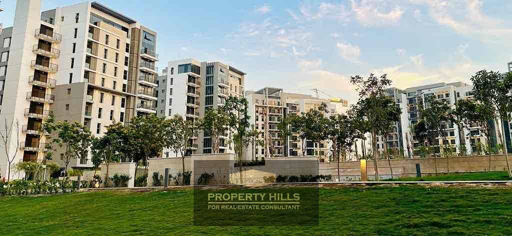 2 47973687-cd02-4eda-8416-0d0f7344784b. jpg