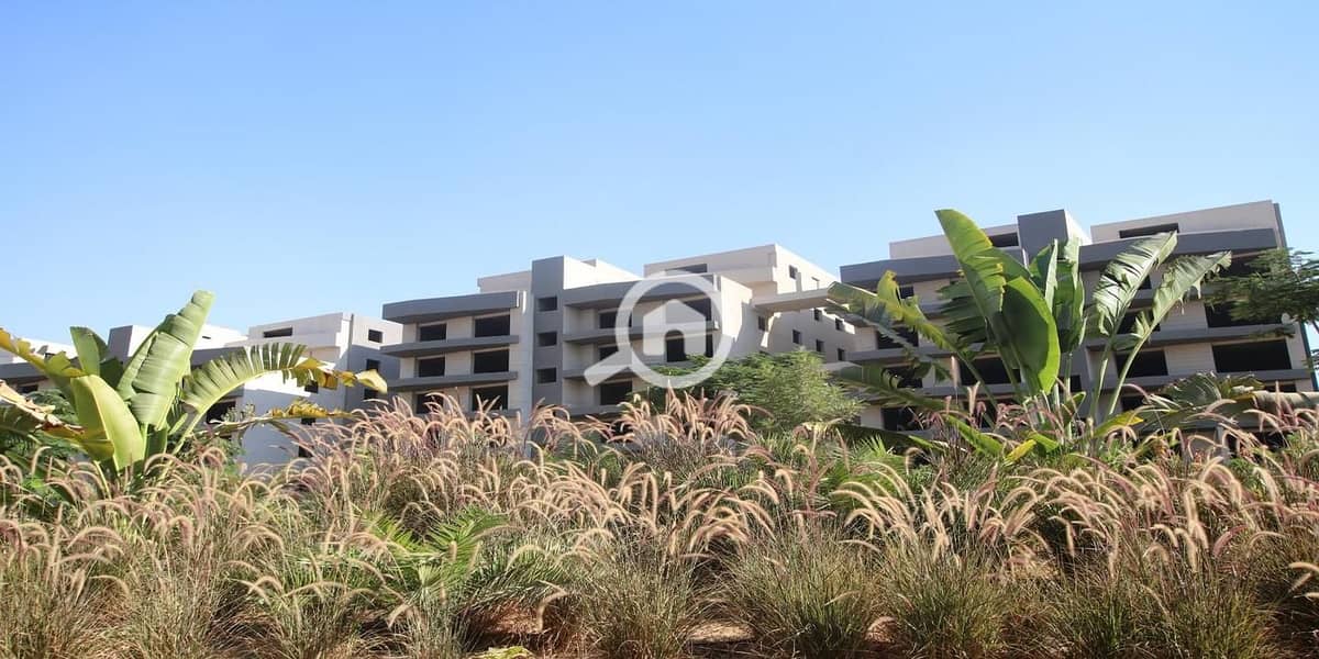 3 37b5d543-66af-4b0b-8d80-abcf28b3d24f. jpeg