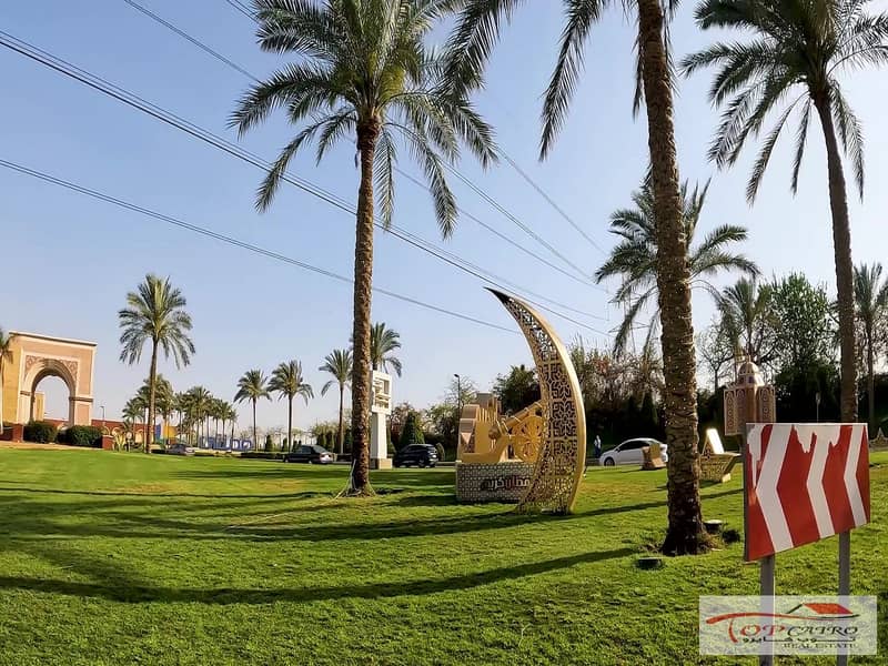 10 8517081f-8c2f-4906-b2f1-0dc0c44494ae. jpeg