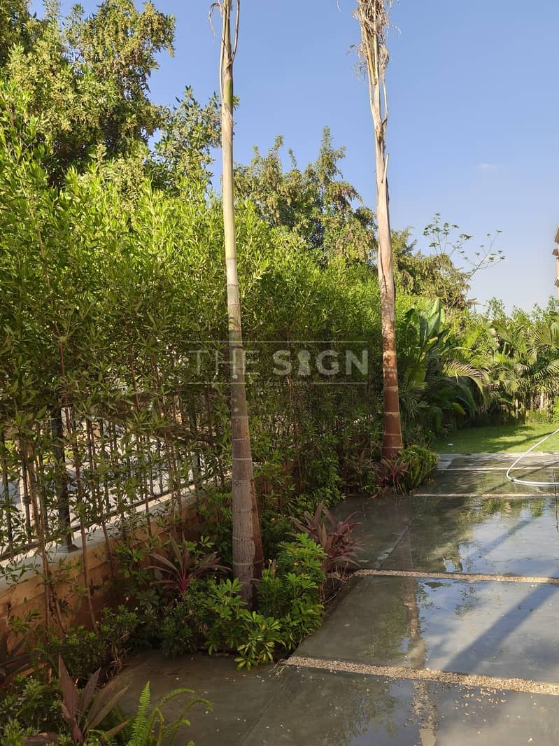 25 WhatsApp Image 2026-01-17 at 12.25. 38 PM (1). jpeg