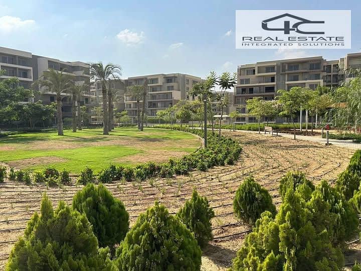 11 616407760_25497076119948528_8069920527949590864_n. jpg