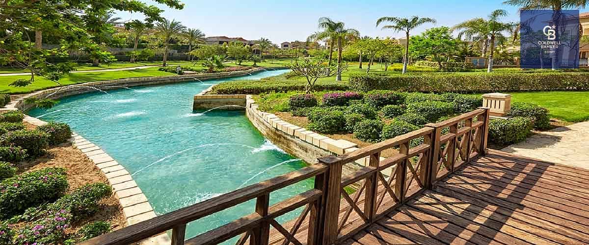 7 swan-lake-التجمع. jpg