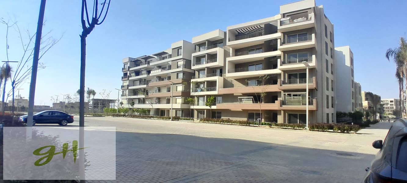 5 20251017_155714. jpg