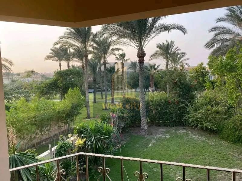 2 1768745281835. jpg