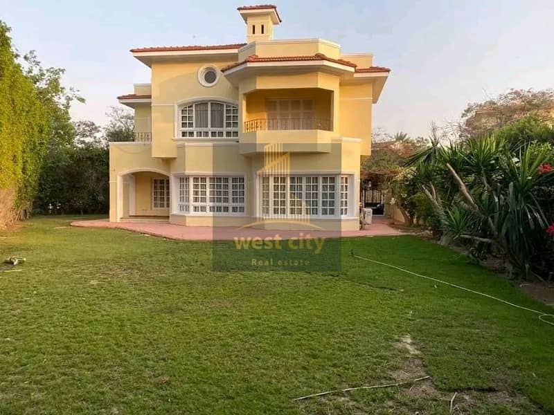 3 1768745284028. jpg