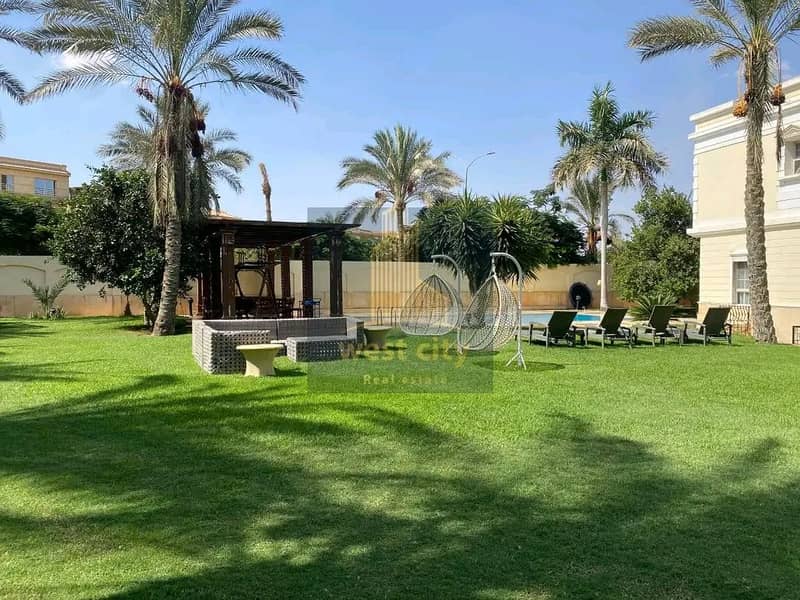 9 1768745250119. jpg