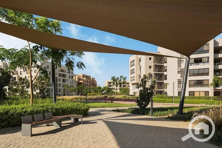 11 616327832_122220362648566653_8585329821430010525_n. jpg