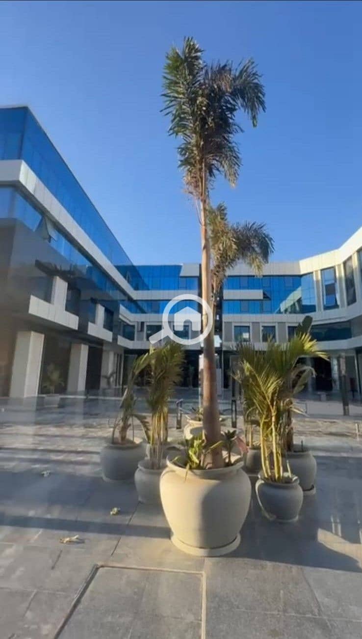 7 WhatsApp Image 2026-01-06 at 16.11. 30 (1). jpeg