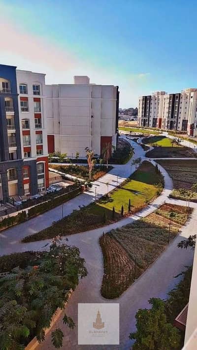 4 Bedroom Villa for Sale in Agami, Alexandria - IMG-20260118-WA0039. jpg